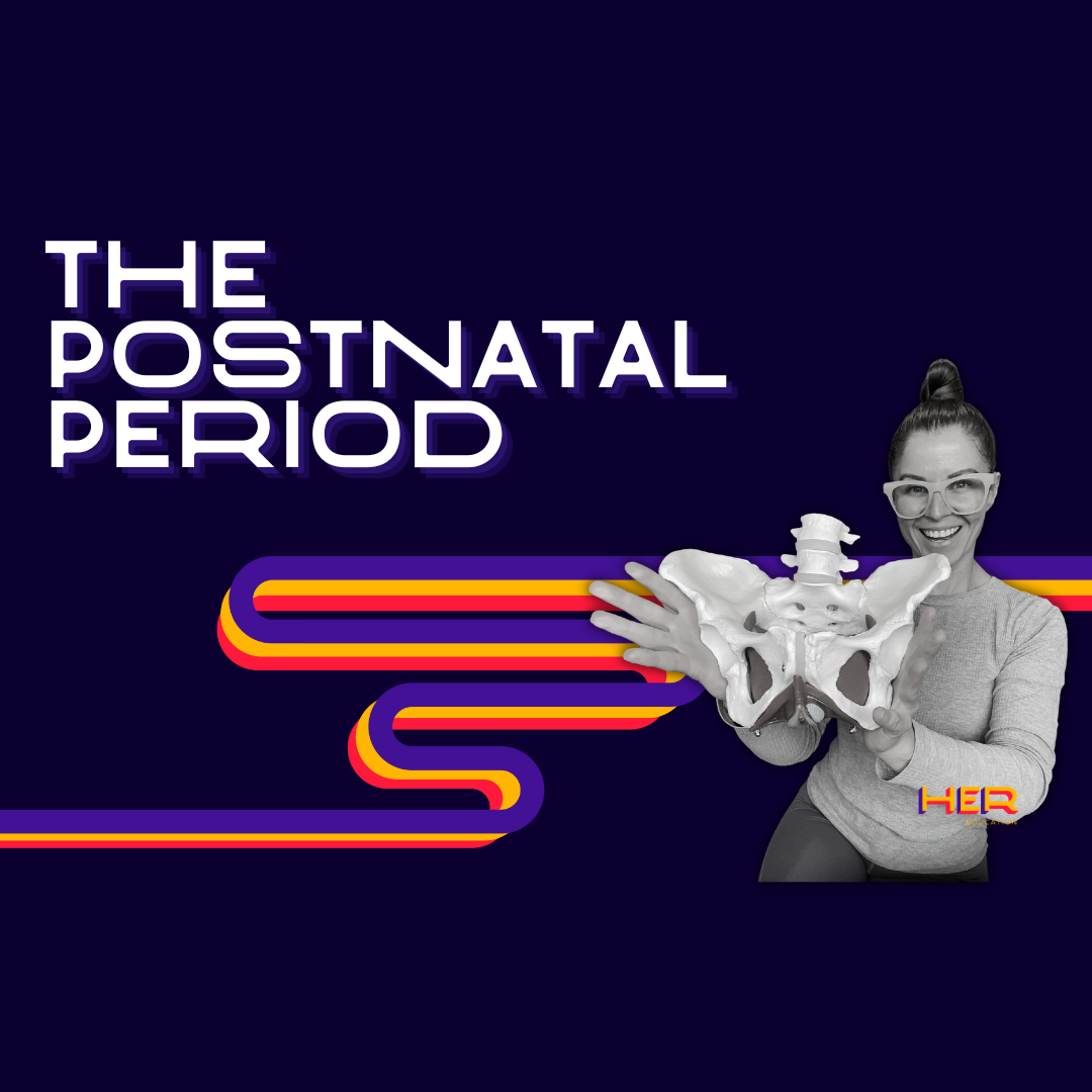 The Postnatal Period